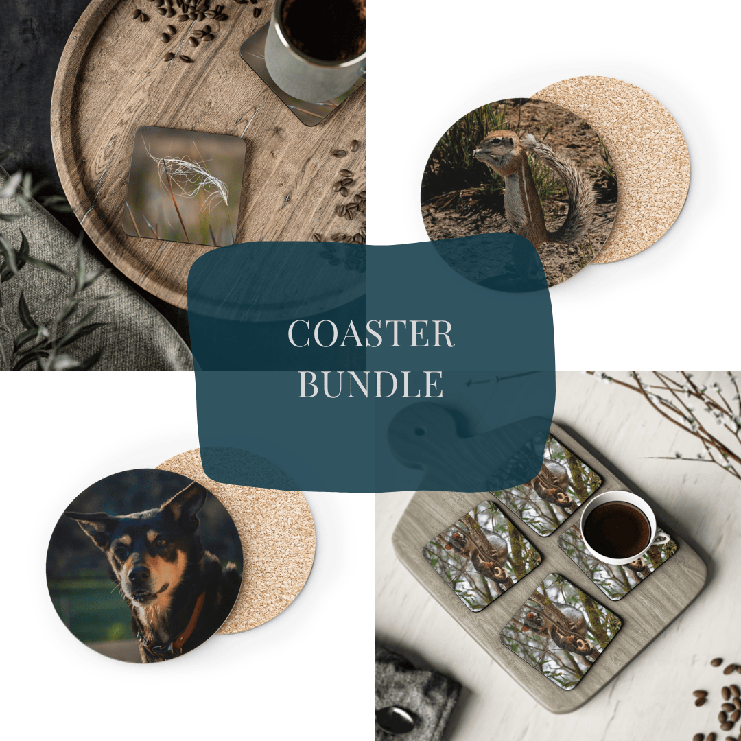 Coaster Mix and Match